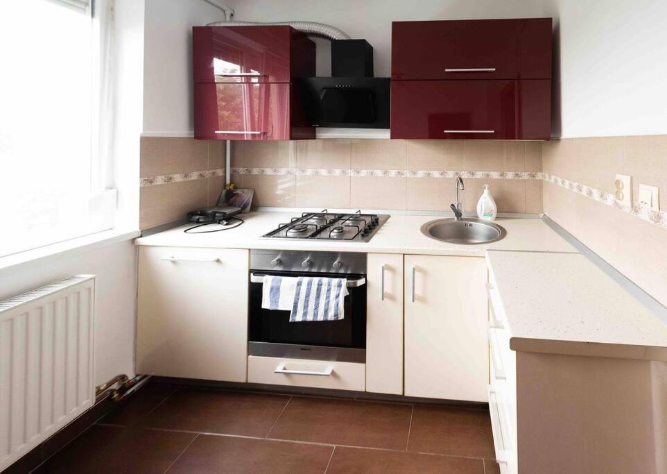 Apartament Timisoara Lägenhet Exteriör bild